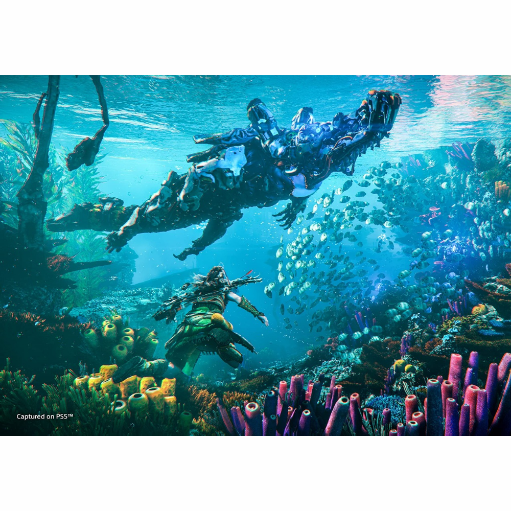 Horizon 2 - Forbidden West - PS4 - Image 2